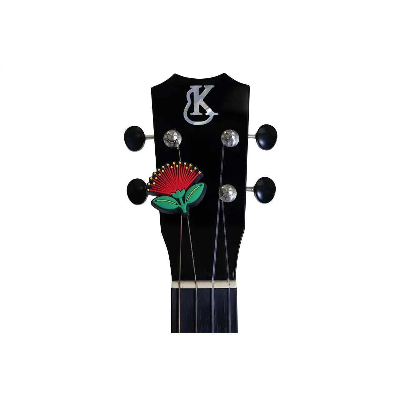 2_05f1e768-6d9f-4dd9-88ae-2930a6aa07c1 | Terry Carter Music Store