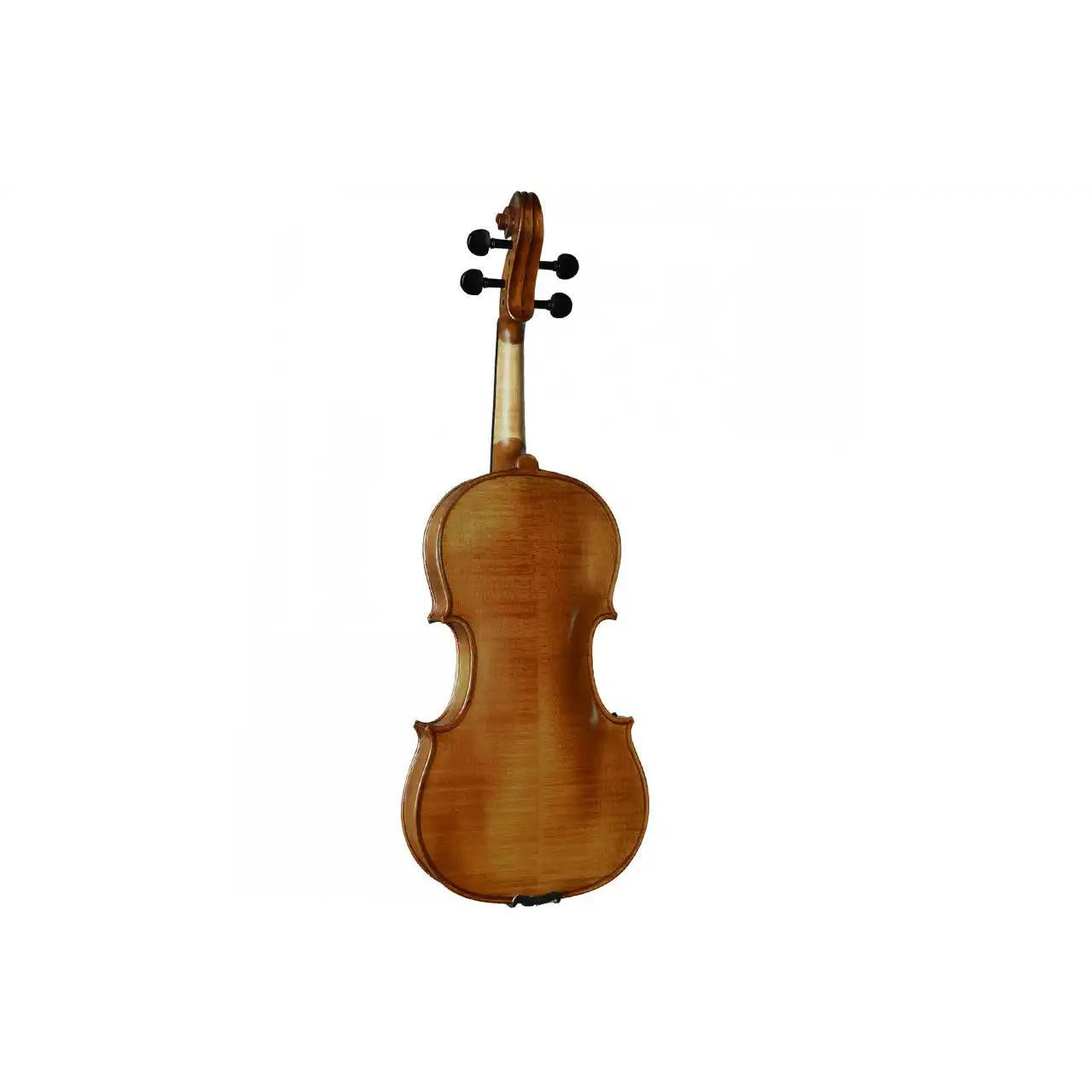 2_16b7f644-3c16-405d-8770-cf21cb5f38db | Terry Carter Music Store