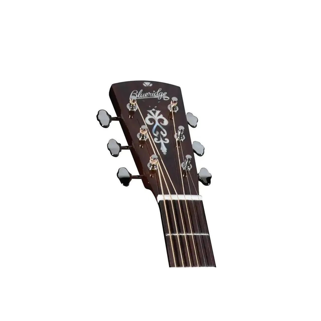 2_1d787c82-a381-4cb8-9925-fe5e31f2493e | Terry Carter Music Store