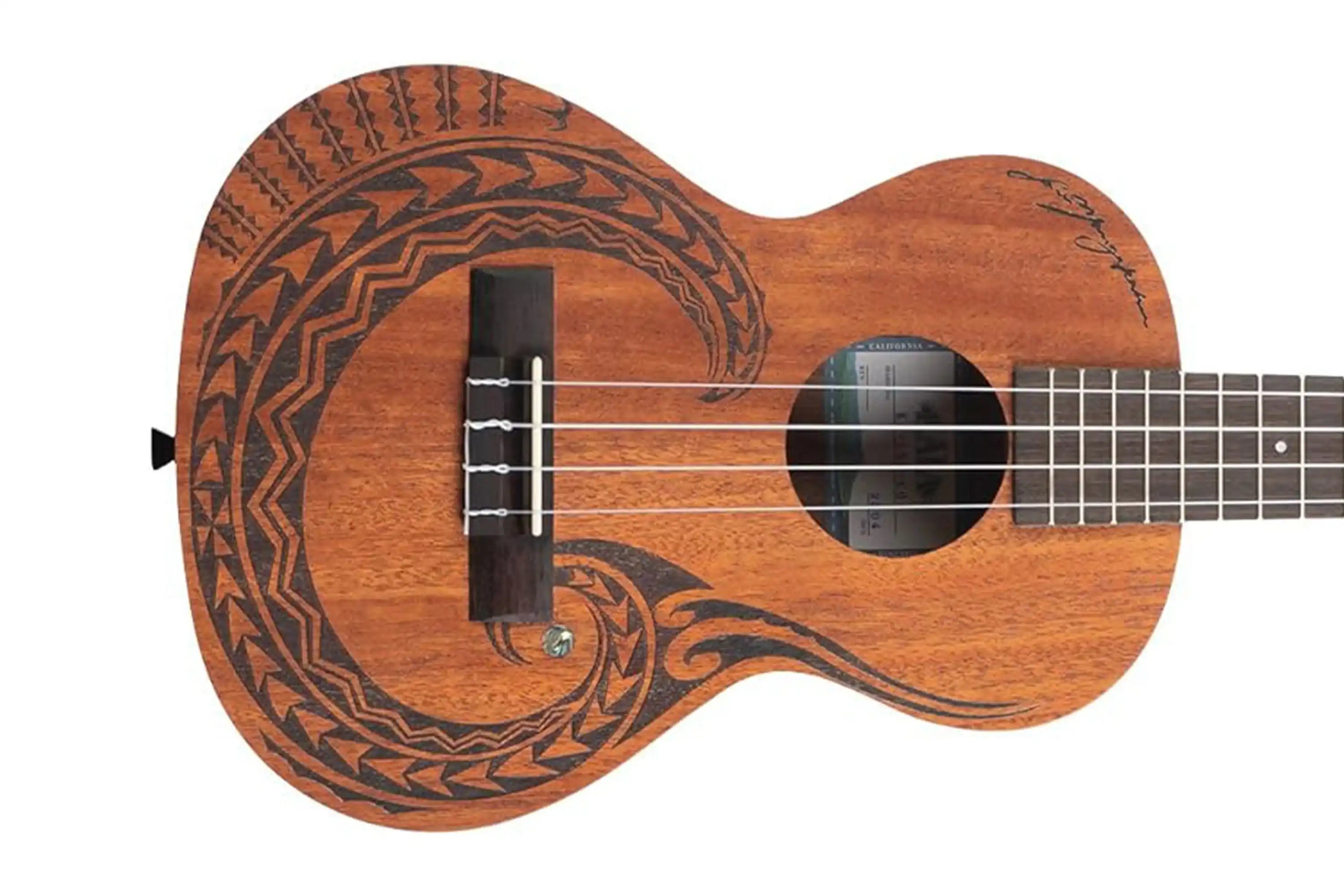 2_1e2e499e-48dd-4113-a371-b872d38e4378 | Terry Carter Music Store