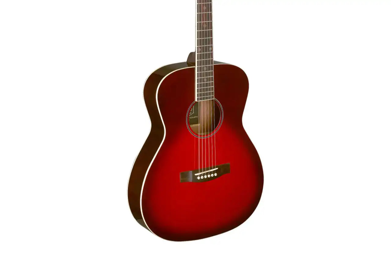 2_2136ee87-8d21-453b-a953-cb7e07c9fa19 | Terry Carter Music Store