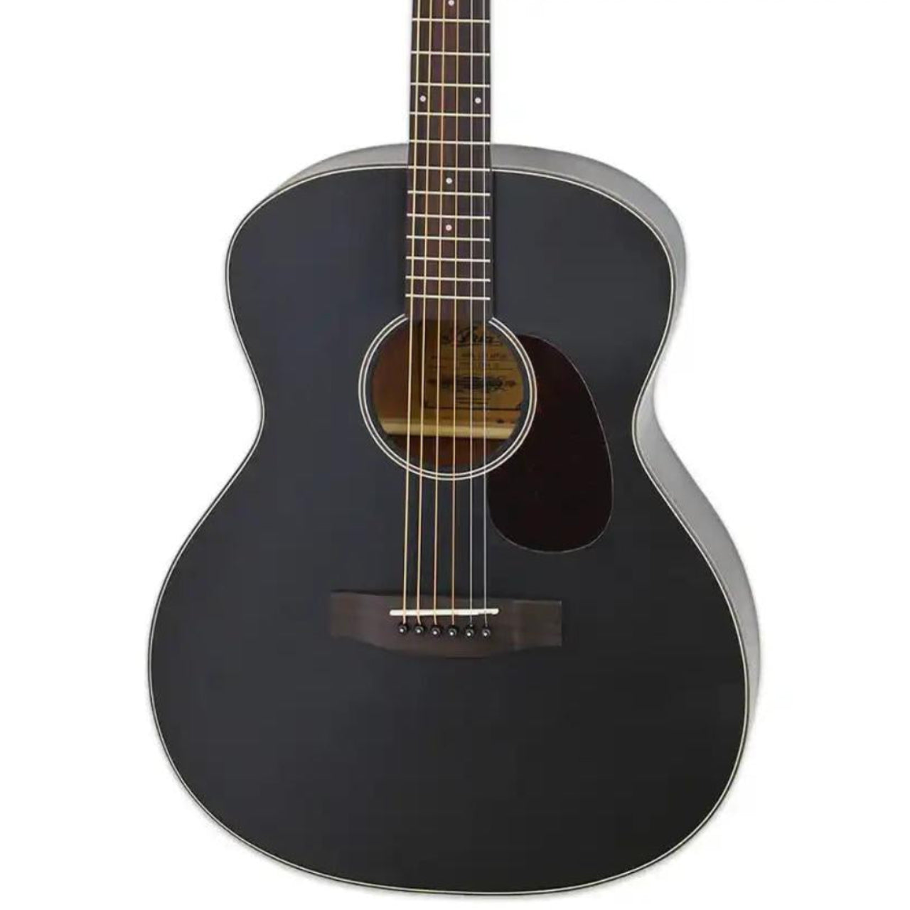 2_2b935063-f6a8-42b8-ac80-488b1f5dd249 | Terry Carter Music Store
