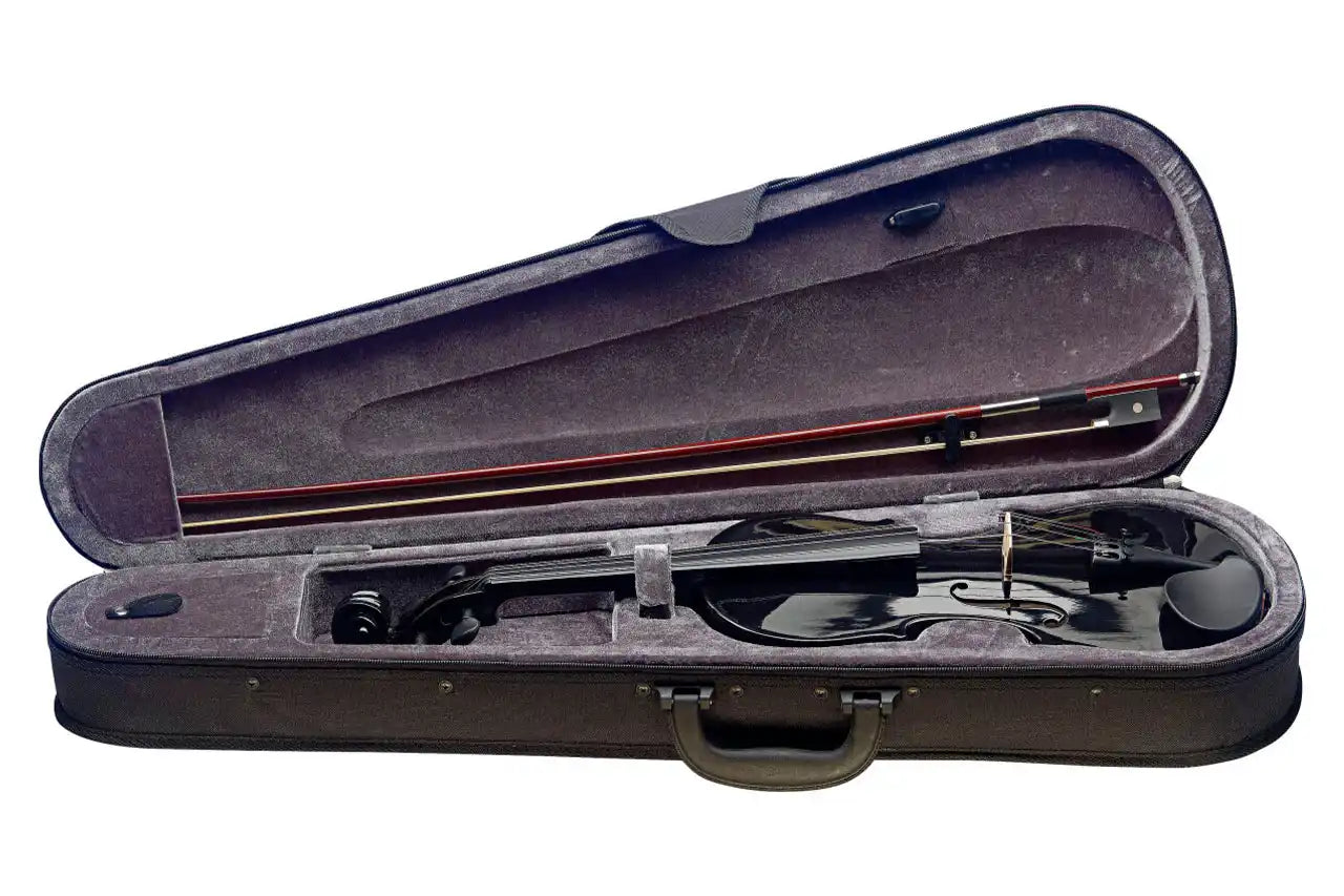 2_2fafd6ab-1dff-4929-ae3e-aa0da9d61691 | Terry Carter Music Store