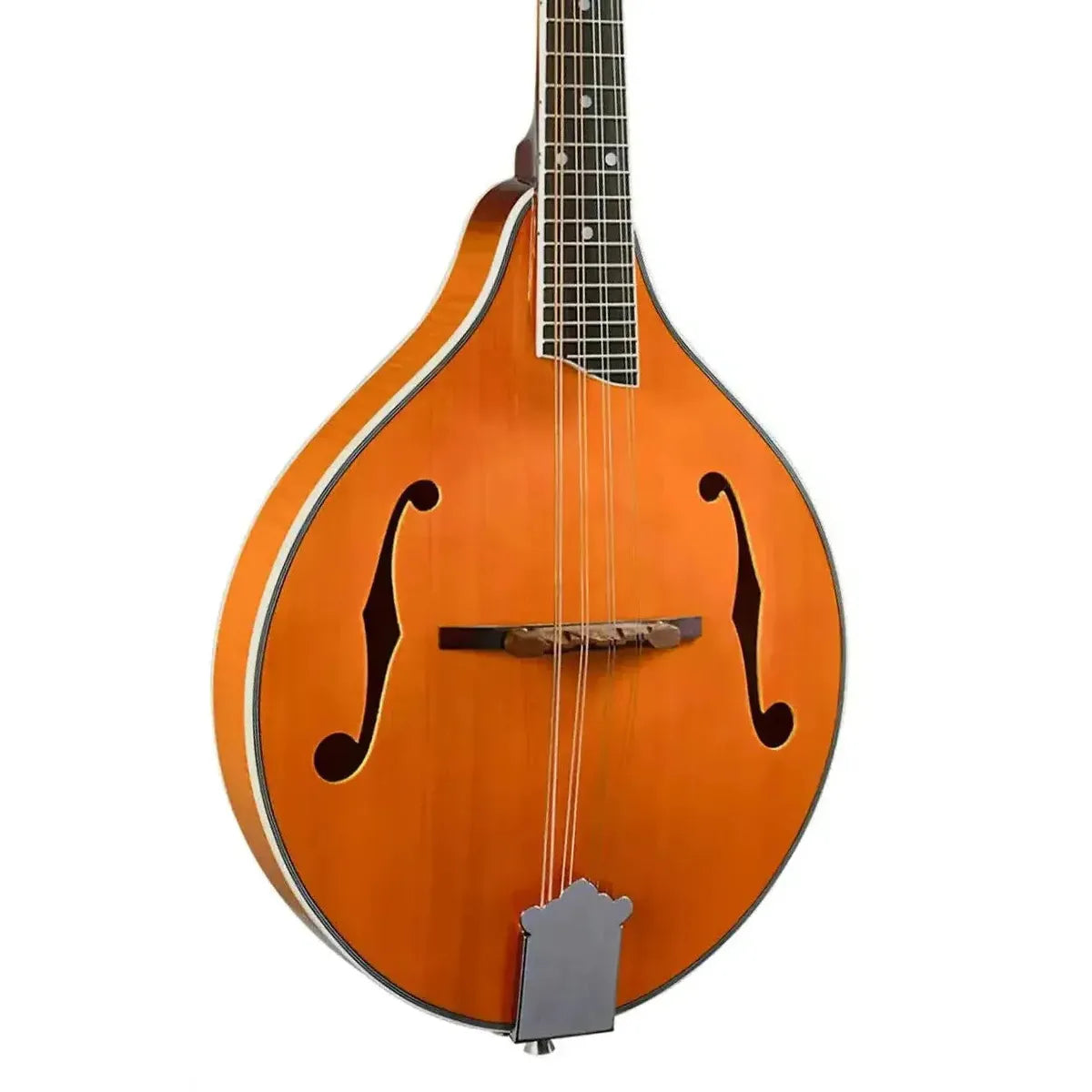 2_34f1db6b-b3a3-4dec-9259-df36711ccbbe | Terry Carter Music Store