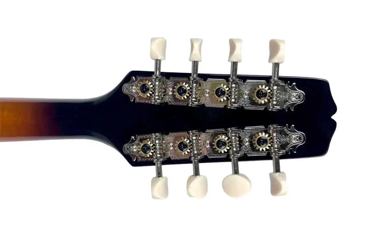 2_36676c0d-1e5a-4a30-a0e2-4db0c3937cd6 | Terry Carter Music Store