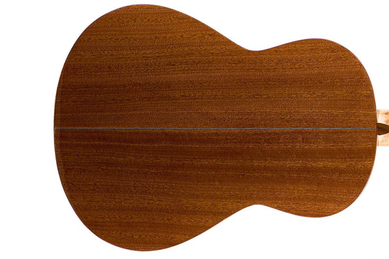 2_383fe317-a948-4954-8495-e74a68525731 | Terry Carter Music Store