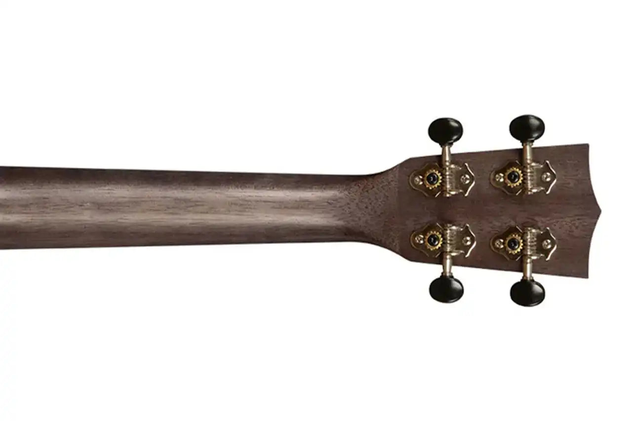 2_3aa2b5e4-1ea6-4101-9c74-499c408a8fe1 | Terry Carter Music Store