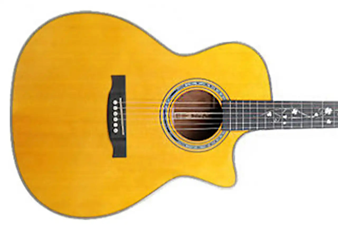 2_3d0c5755-edfa-49ef-a525-35b28017e407 | Terry Carter Music Store