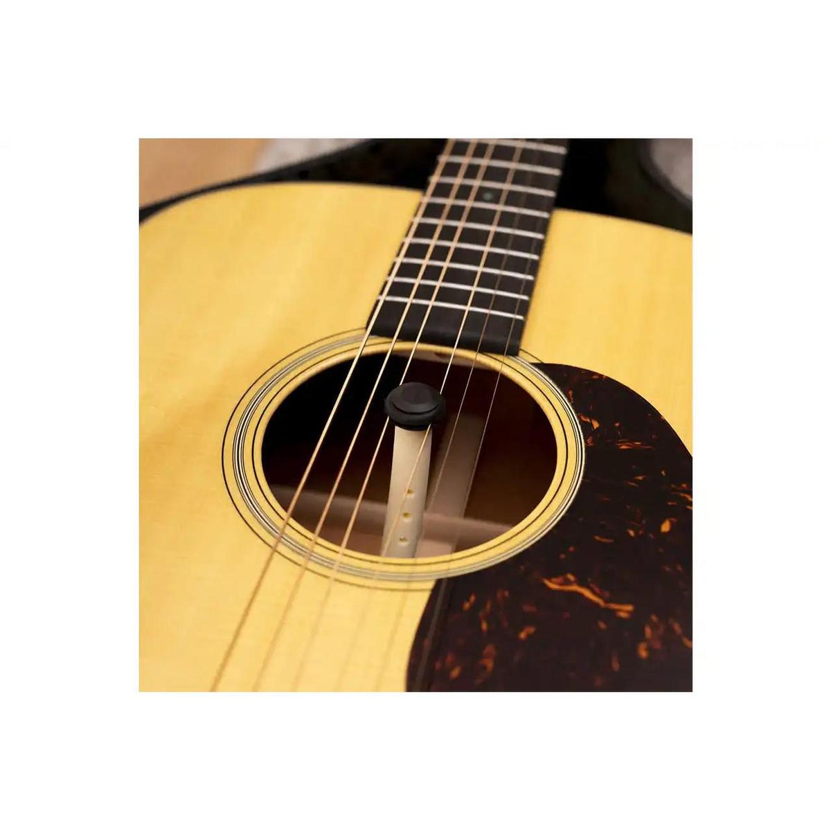 2_429aa5fd-cb5b-4764-85f8-5421b43ef8b8 | Terry Carter Music Store
