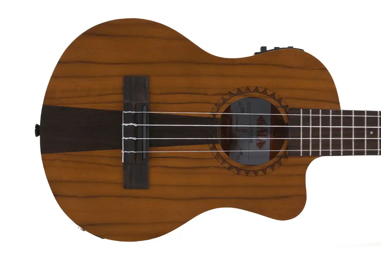 2_45babcee-32d5-4249-969a-174b0bb52786 | Terry Carter Music Store