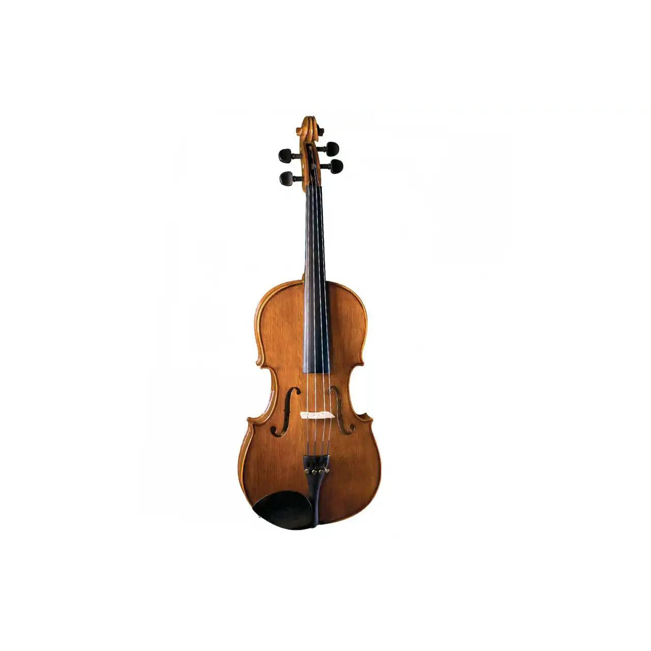 2_4fee3857-1aab-4fad-9c68-2e700c25ea40 | Terry Carter Music Store