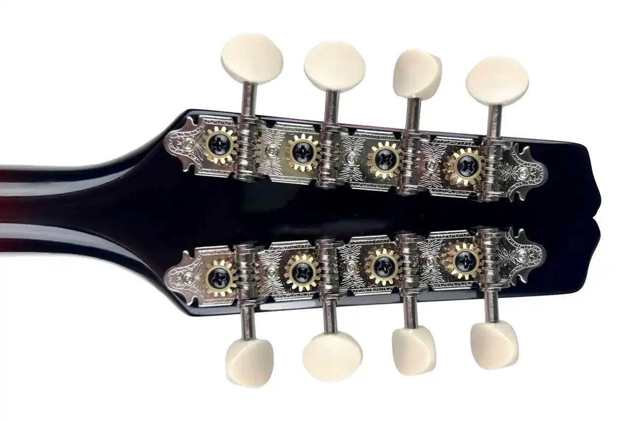 2_53d81d6e-e5e8-4a95-97cc-1d2612cd260c | Terry Carter Music Store