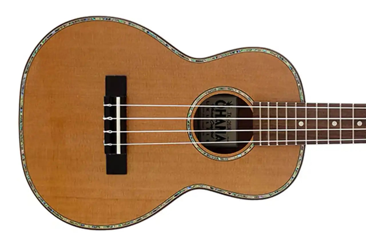 2_56627a90-849e-43dc-9e38-9d746072e244 | Terry Carter Music Store