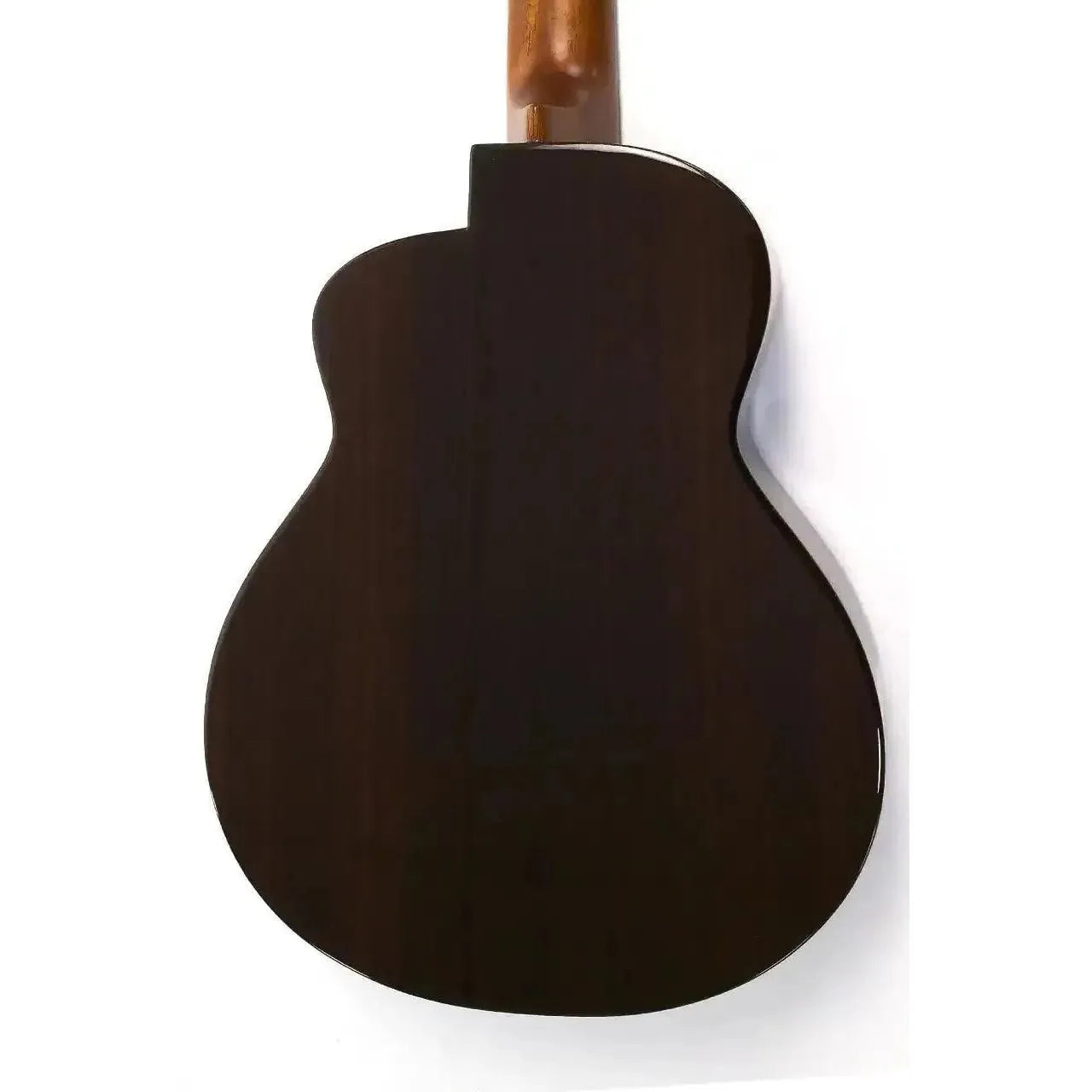 2_5dcf1fc0-5401-4c27-8750-f20e3744bf61 | Terry Carter Music Store