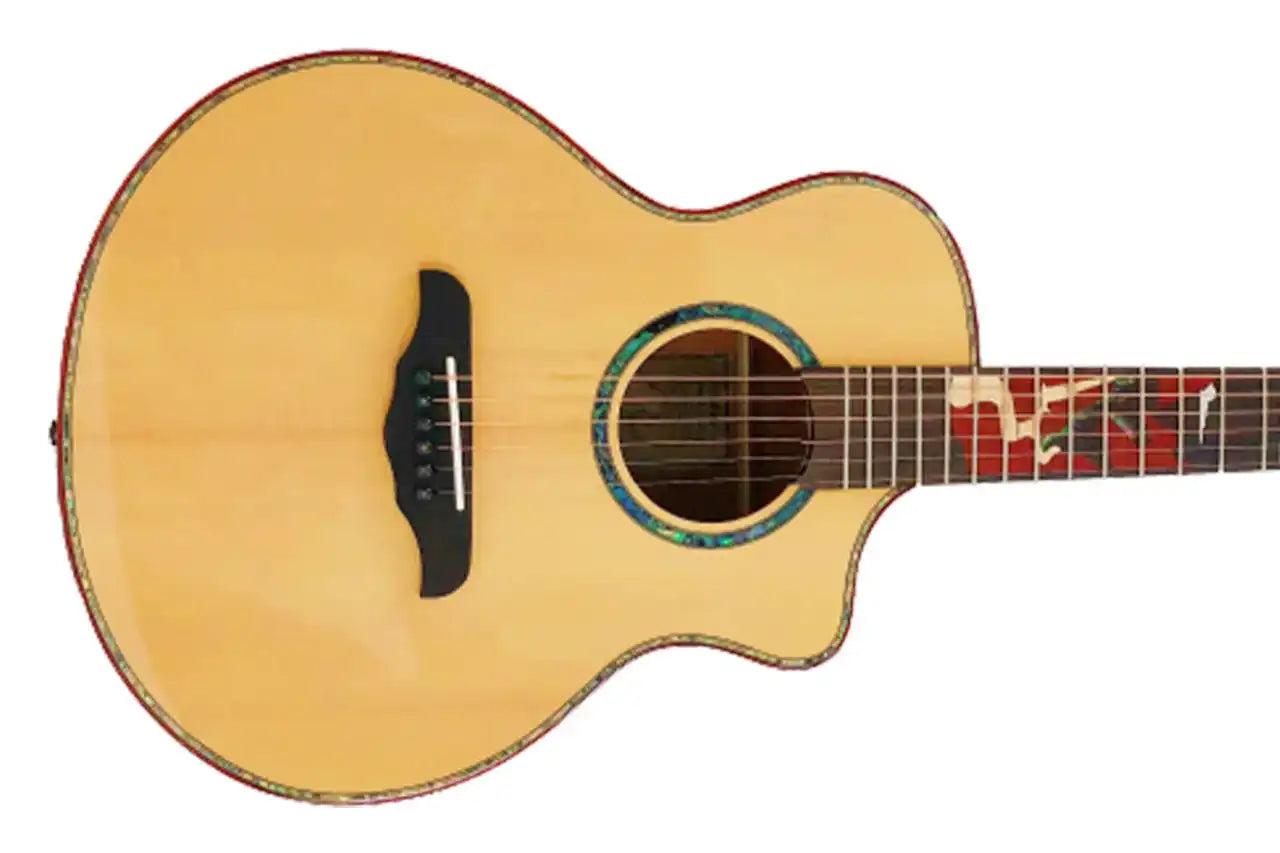 2_5de46943-4cb7-4c46-883a-36ee58d001e8 | Terry Carter Music Store