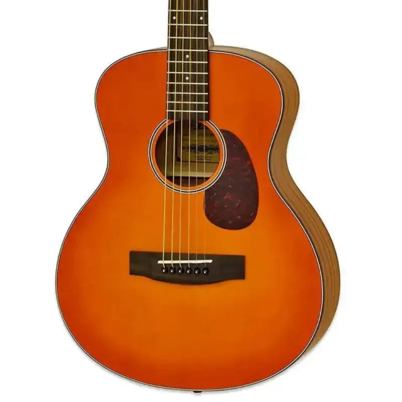 2_5f1cbc55-0b54-4a3e-812a-dacbb5f7ce0b | Terry Carter Music Store