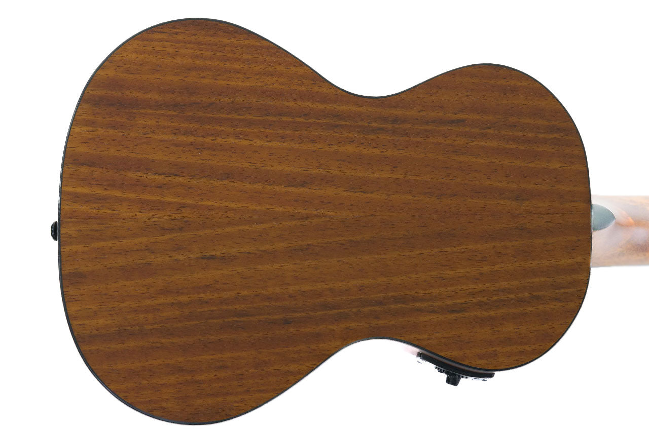 2_650ed7c1-9d66-40fd-9307-2c93291354fe | Terry Carter Music Store