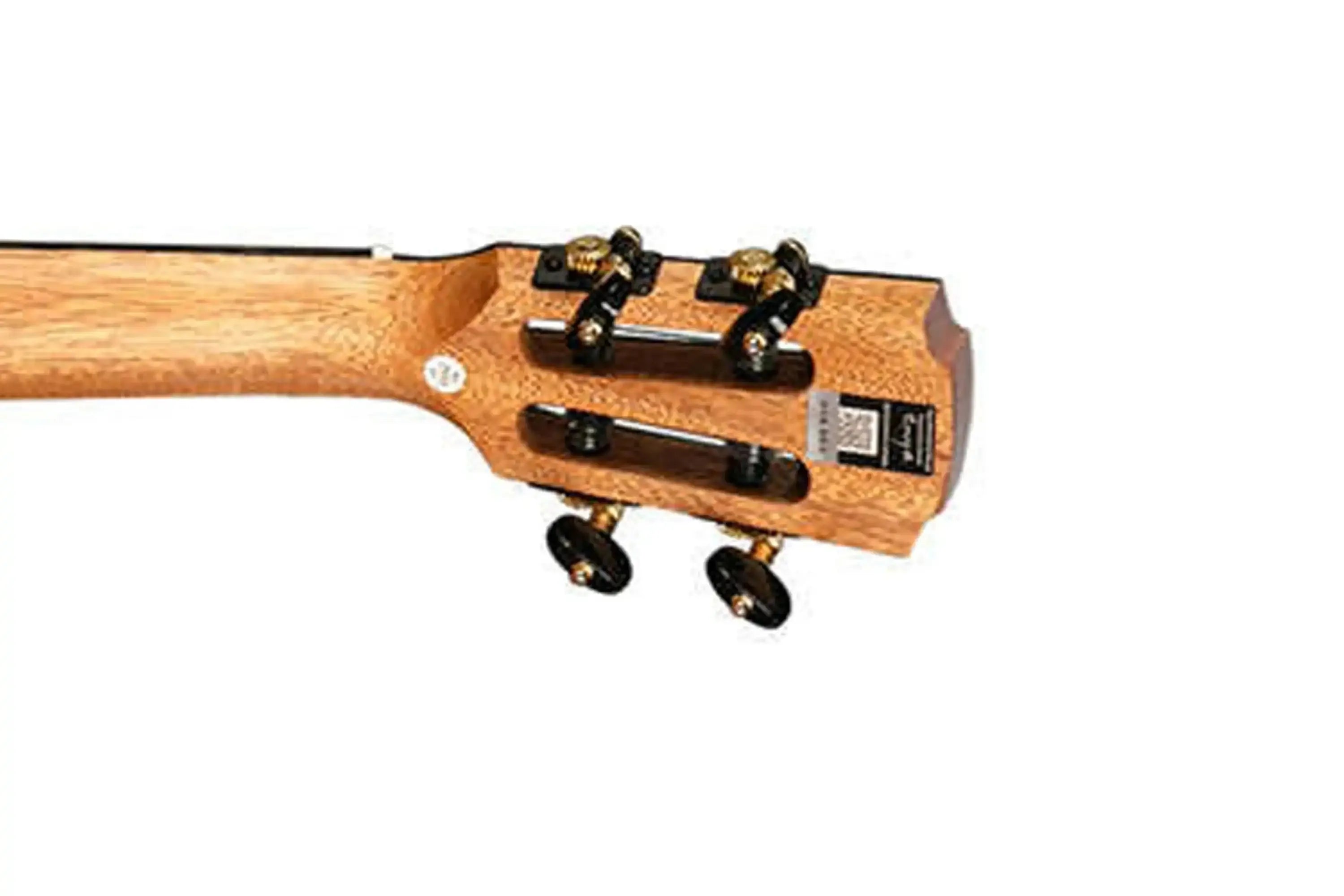 2_6f925018-74c5-4166-98b7-e800d190ae2f | Terry Carter Music Store