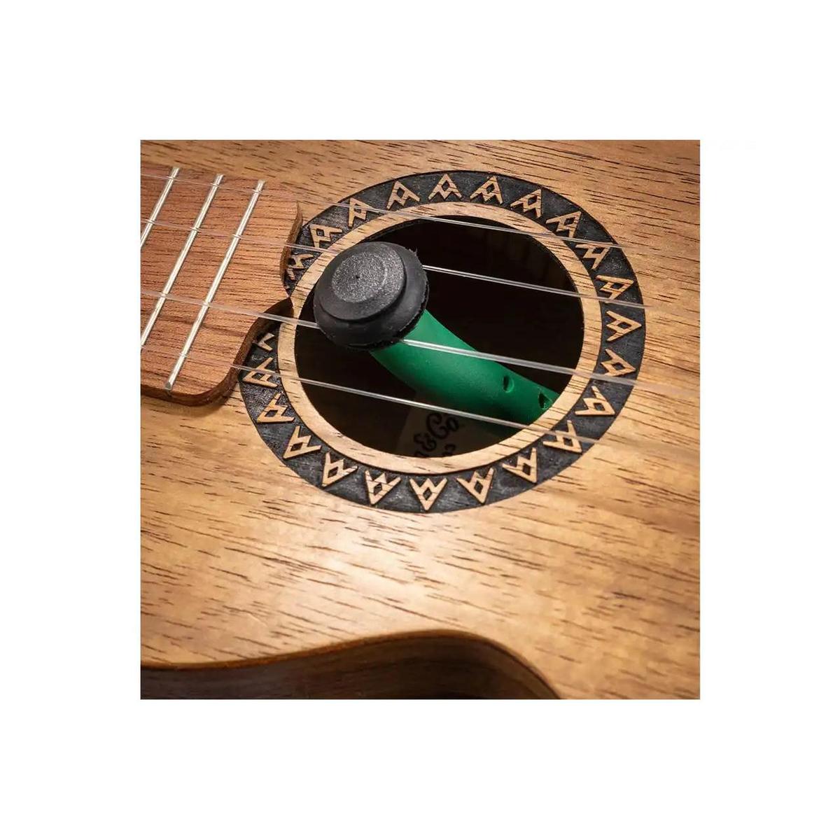 2_719c3141-f20b-44d5-8d6a-6c3137f4f9dd | Terry Carter Music Store