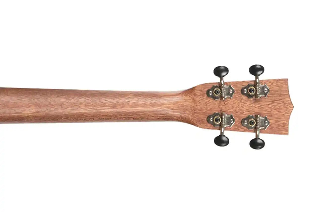 2_7b418bc7-ecc3-419e-8e5b-ecd5a2059d0a | Terry Carter Music Store