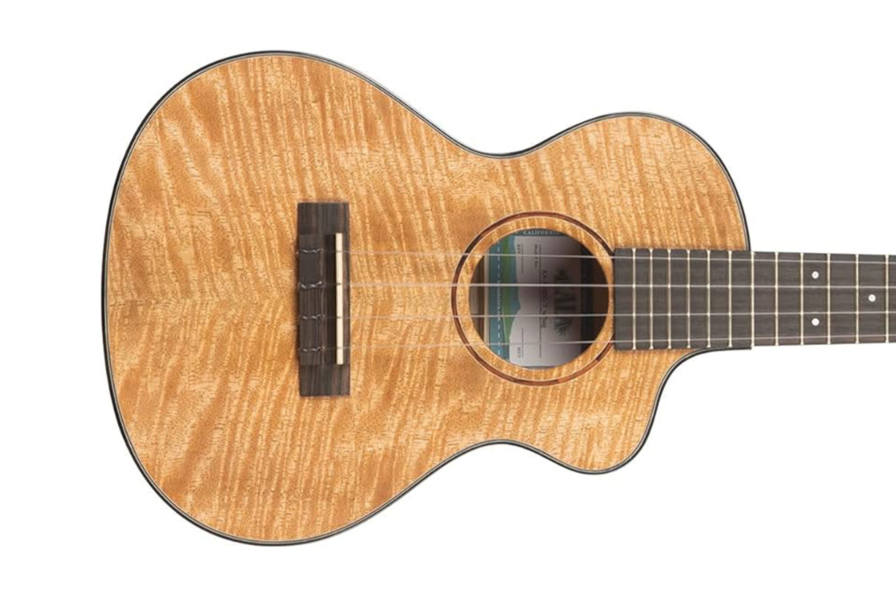 2_7b4c7b74-3abb-4717-840b-38d561a6c202 | Terry Carter Music Store