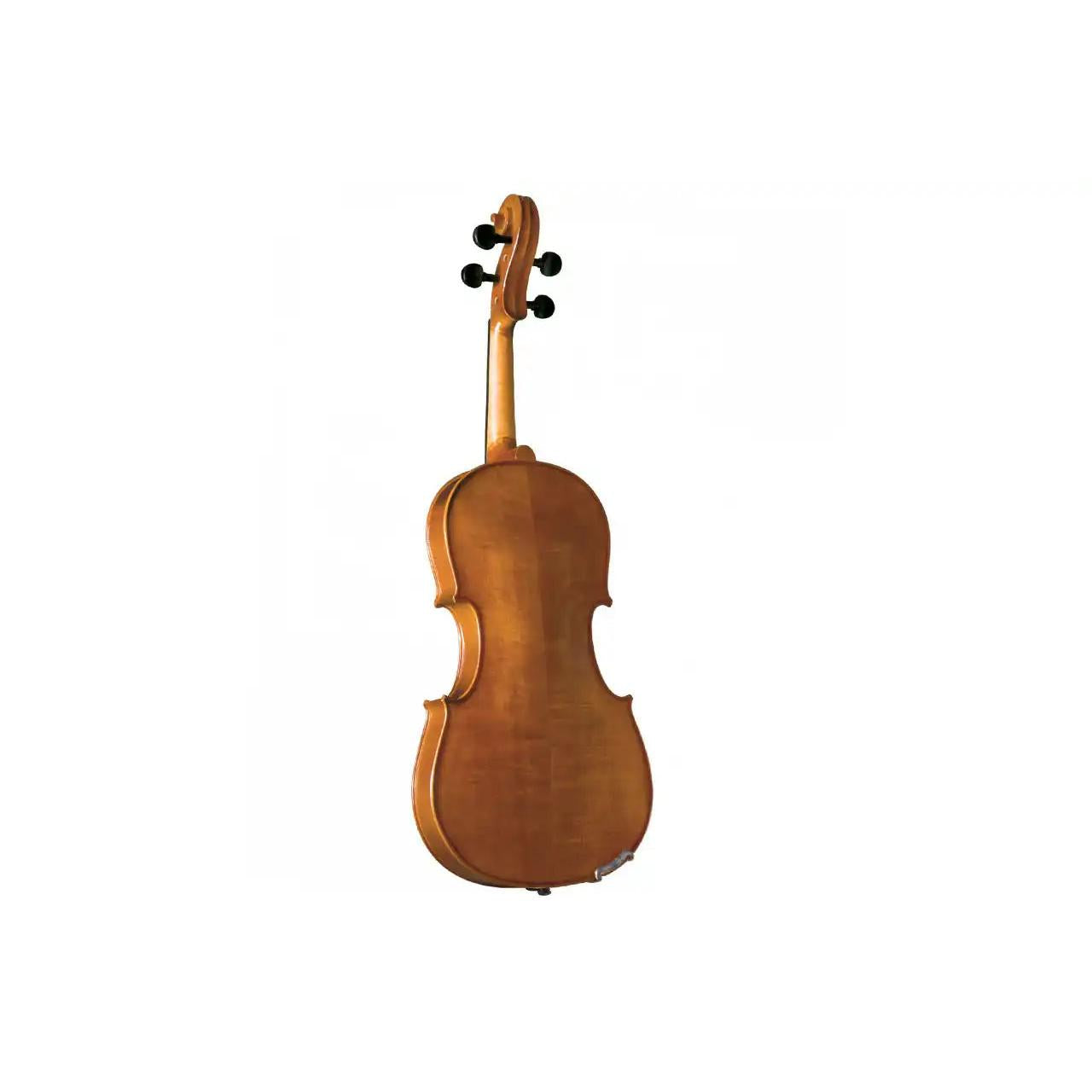 2_7c120da3-2810-4672-9bae-787eb02cfef3 | Terry Carter Music Store