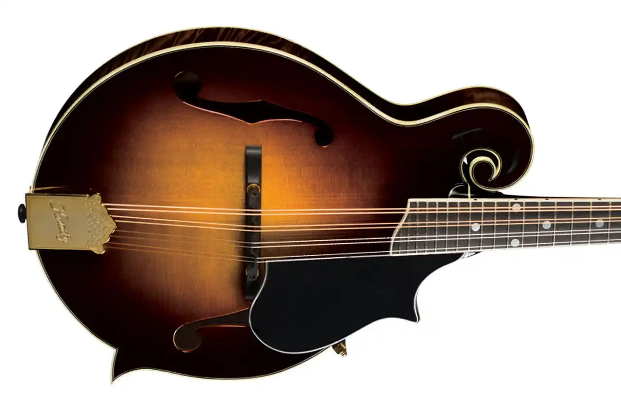 2_7c239d93-c73f-4a6b-8939-c696d5e061c6 | Terry Carter Music Store