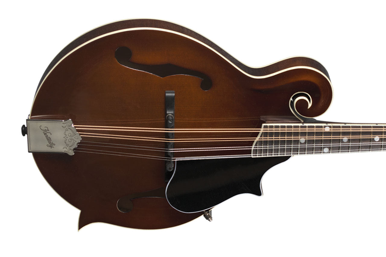 2_810c0587-033a-4a2e-8b0b-46725b5c2587 | Terry Carter Music Store