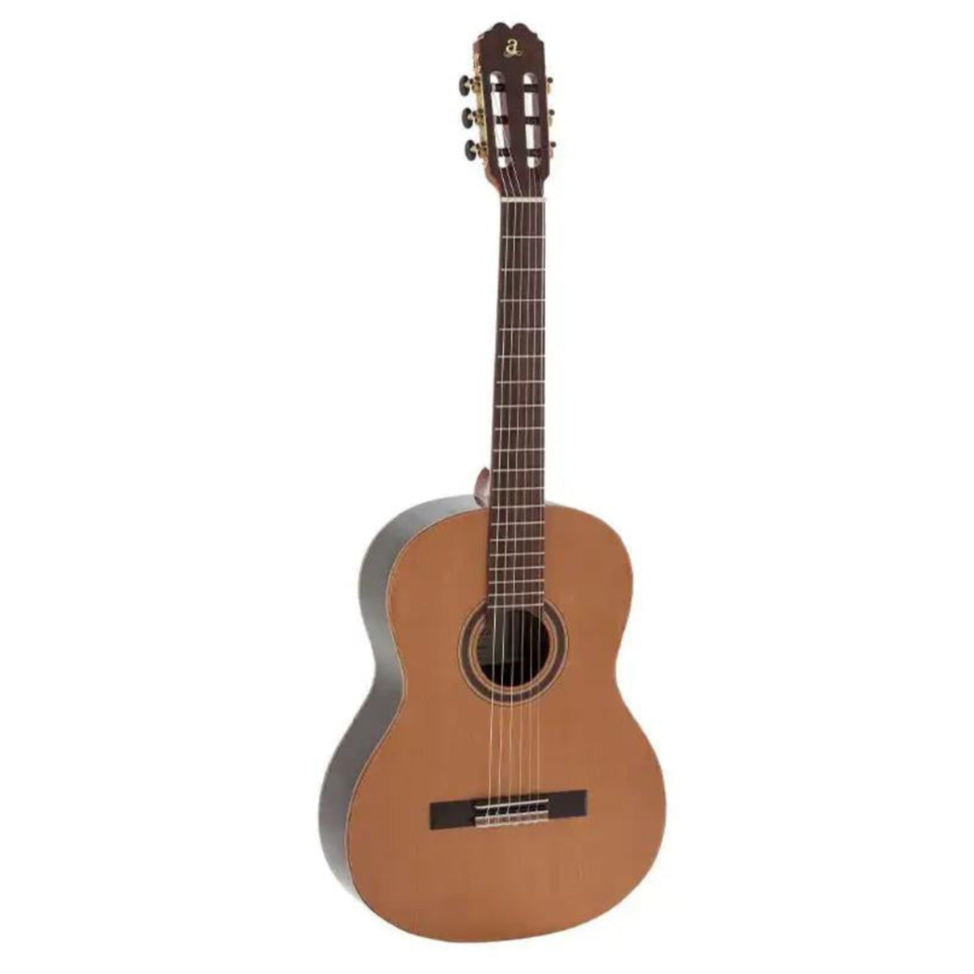2_838f5652-1960-442a-b0f6-8246534fabc3 | Terry Carter Music Store