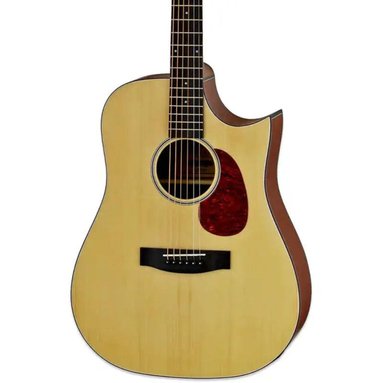 2_851031a2-fa5f-4a54-8934-d1f3d5c689ed | Terry Carter Music Store