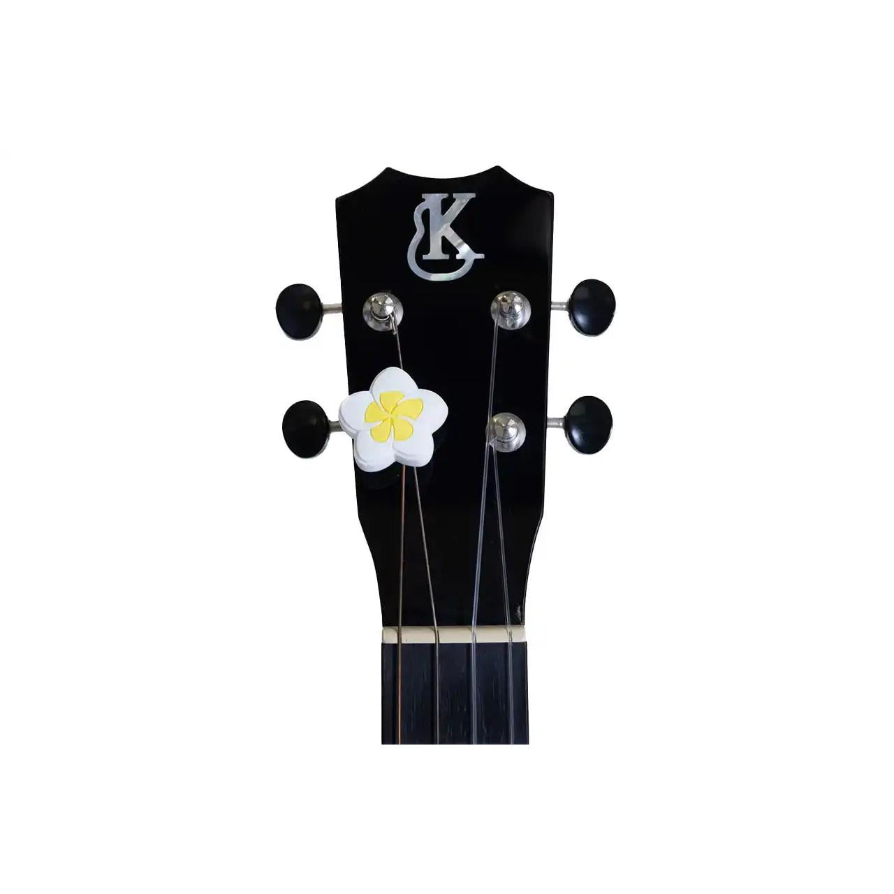 2_8626e2cc-5020-4bb1-b98b-0661ce5d423d | Terry Carter Music Store