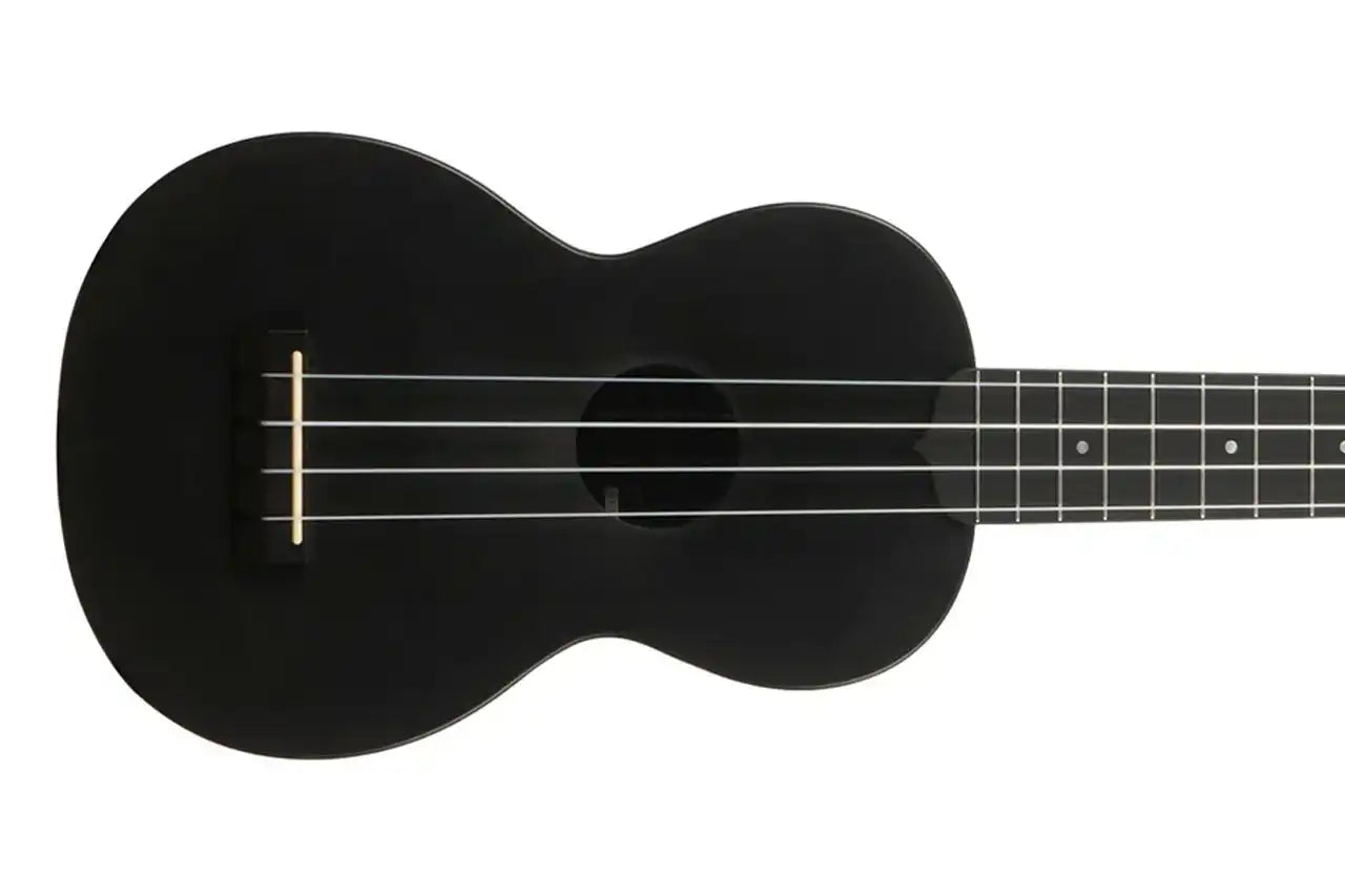 2_8dfbf3af-cc98-4437-9ca3-f6abe6aae4b7 | Terry Carter Music Store