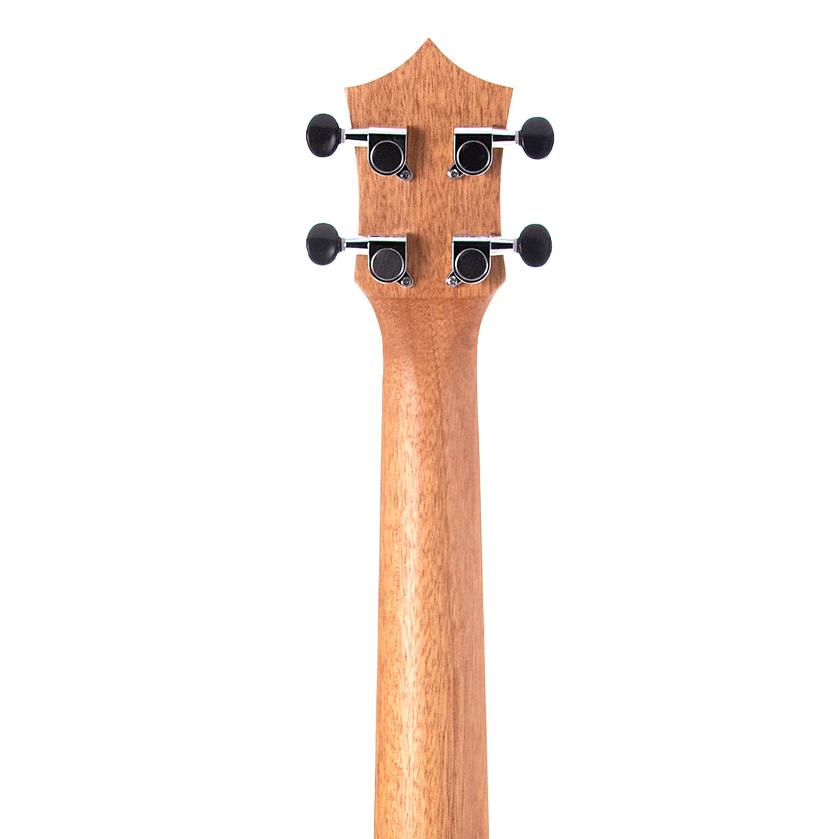 The Leolani T24G rear neck view shows the okoume neck and diecast geared tuners.