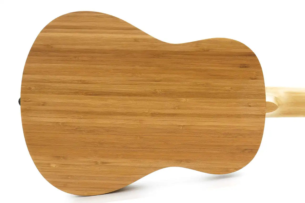 2_aa436564-97aa-4d66-b89d-740c942c6178 | Terry Carter Music Store