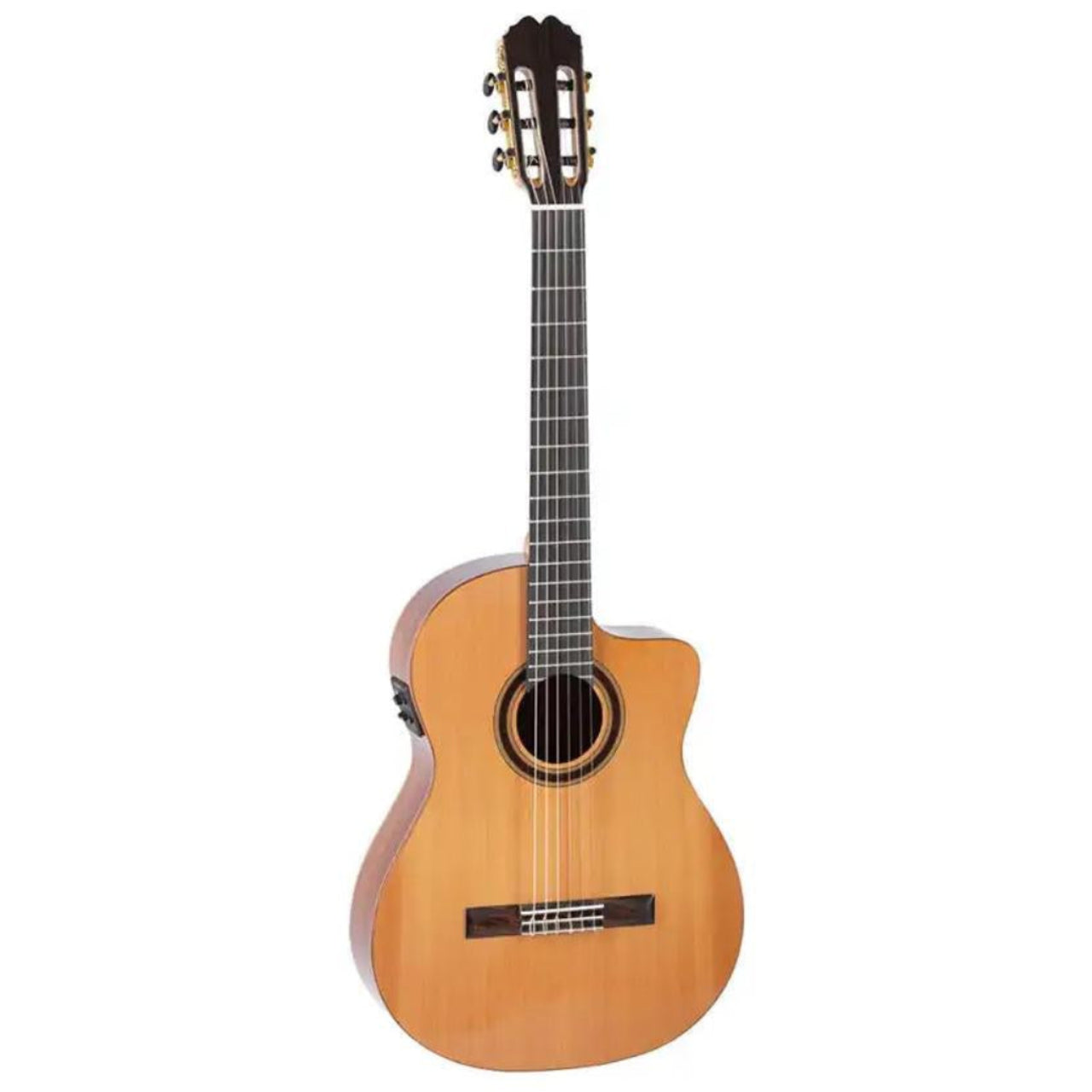 2_adca4975-d2bb-43af-9916-a0eab3714beb | Terry Carter Music Store