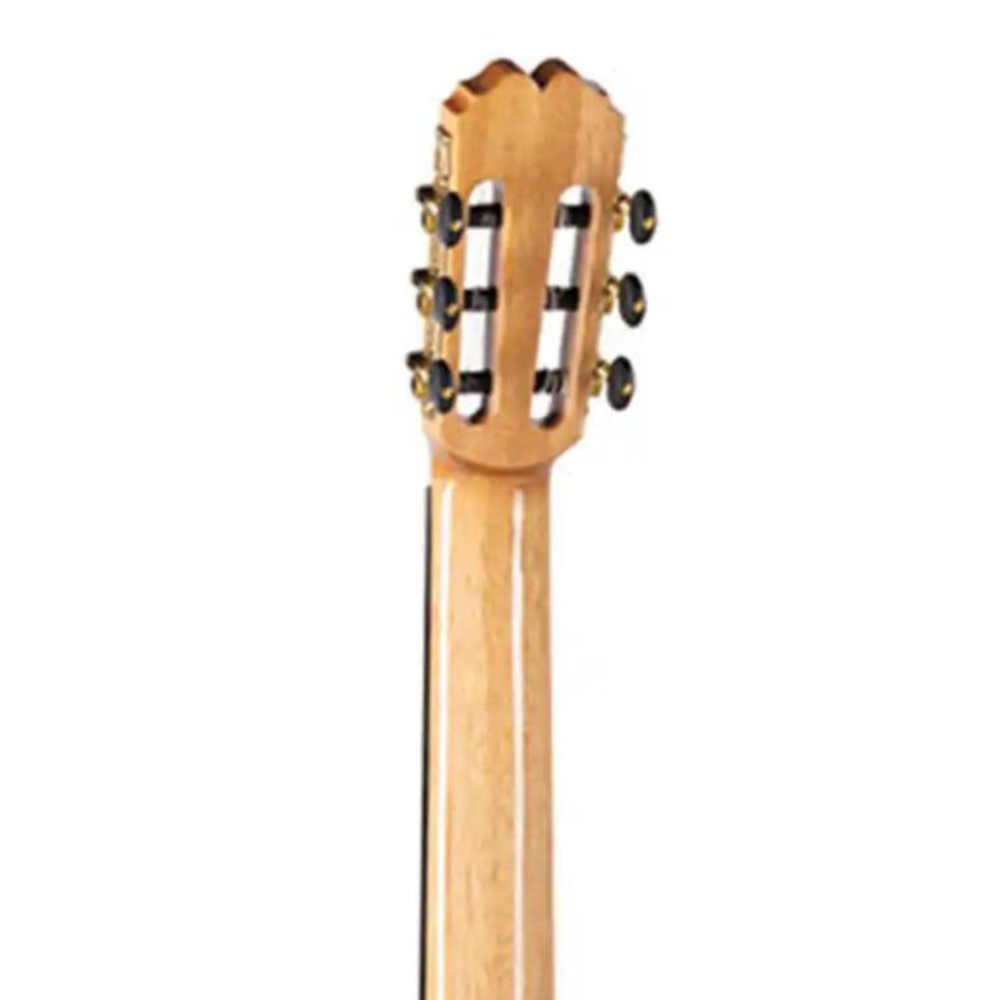 2_af20ab24-4da2-41a9-8b95-a10a5292bcb8 | Terry Carter Music Store