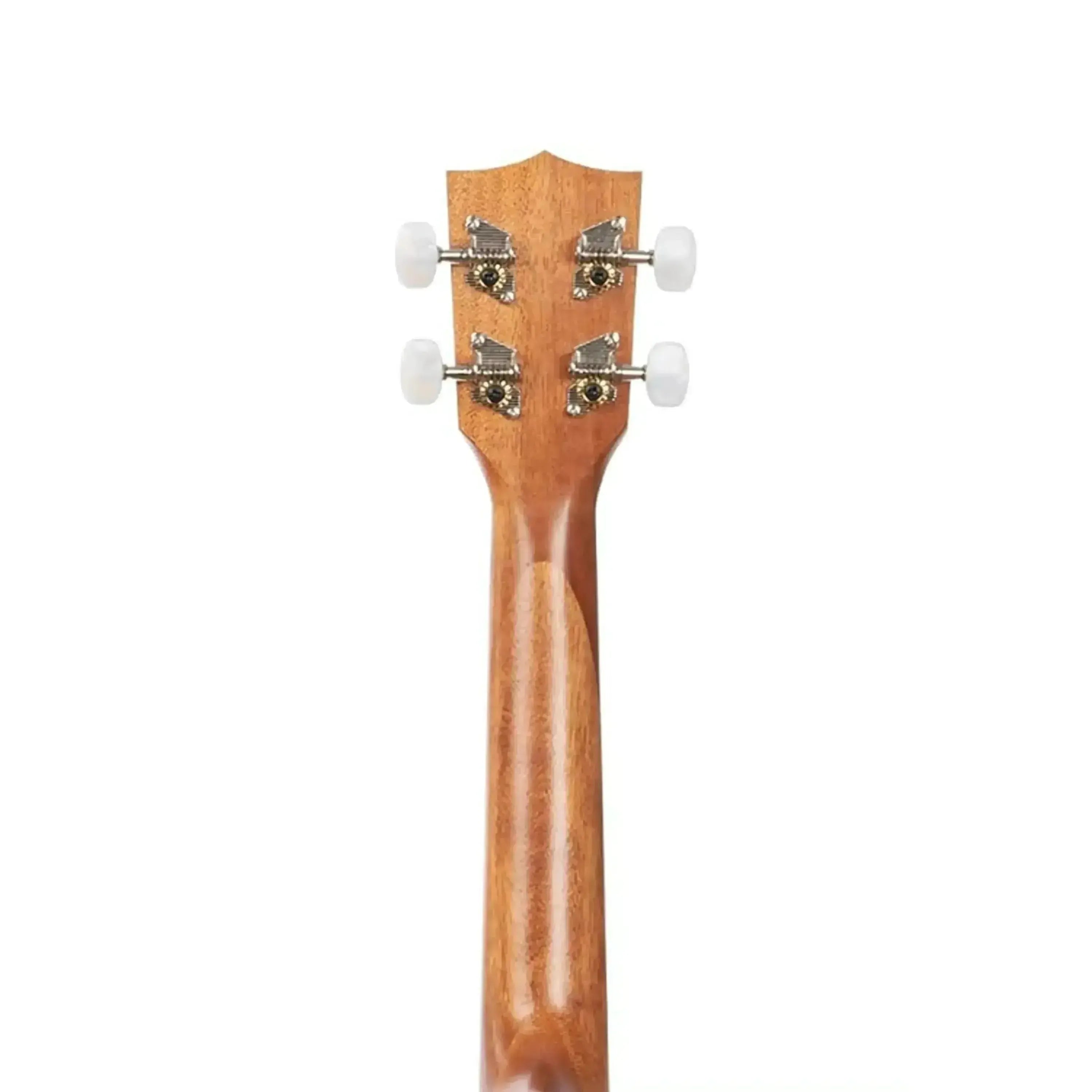 2_b270fe94-2863-4af7-a260-16913f53d7b5 | Terry Carter Music Store