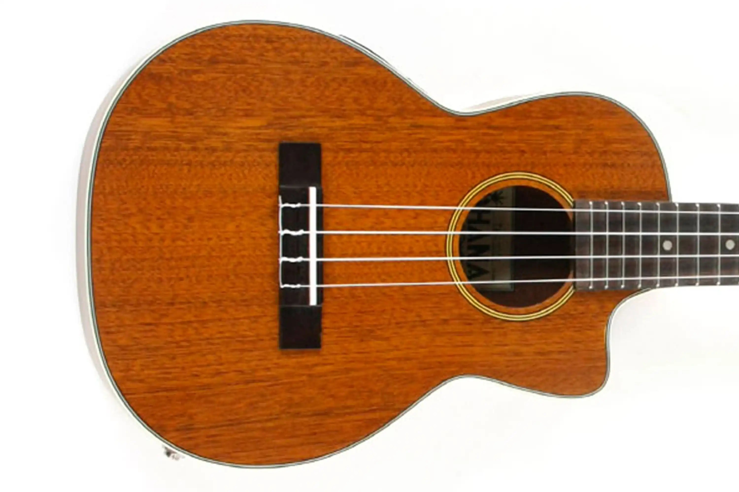 2_b5d1ff72-d919-429c-88a2-b41c00fb1b36 | Terry Carter Music Store