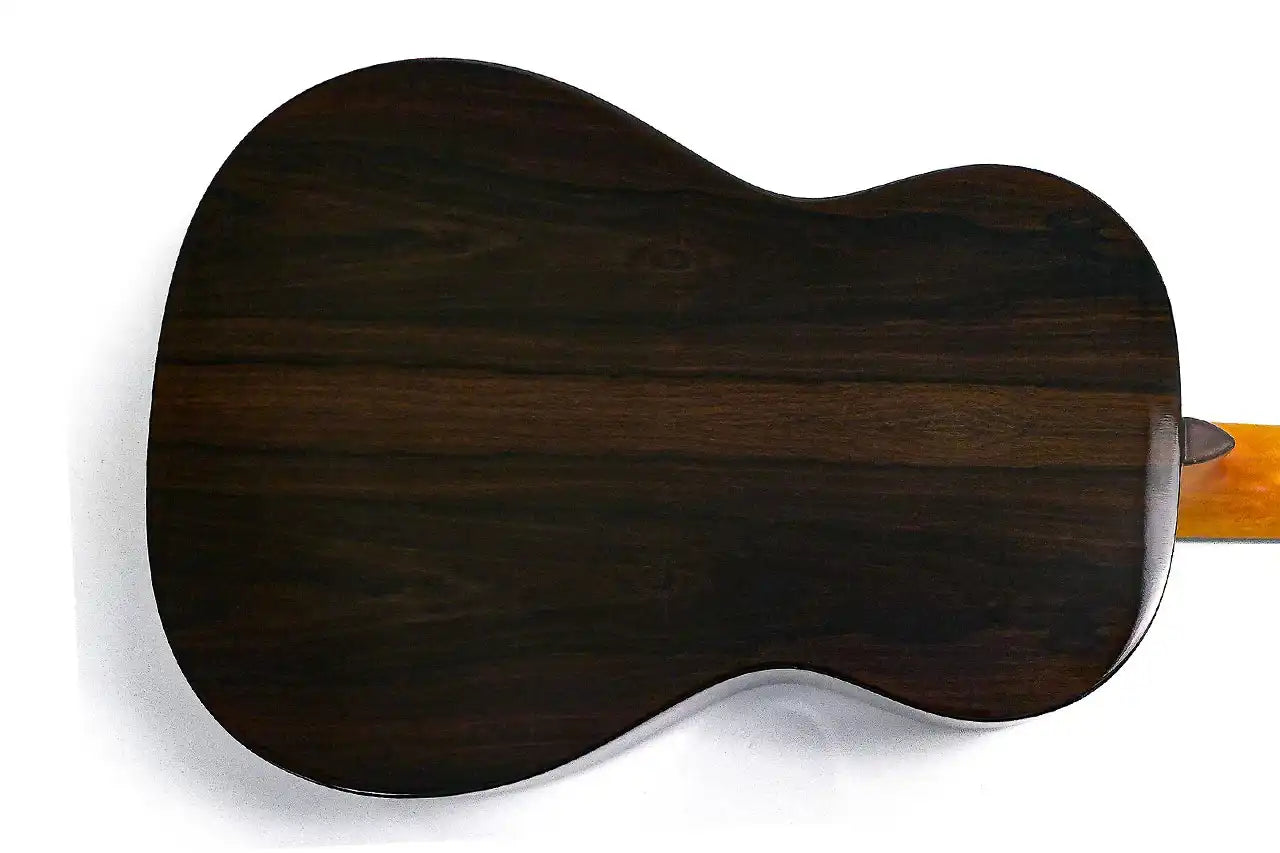 2_b6e942b6-5b72-40dd-8668-927f0e749895 | Terry Carter Music Store