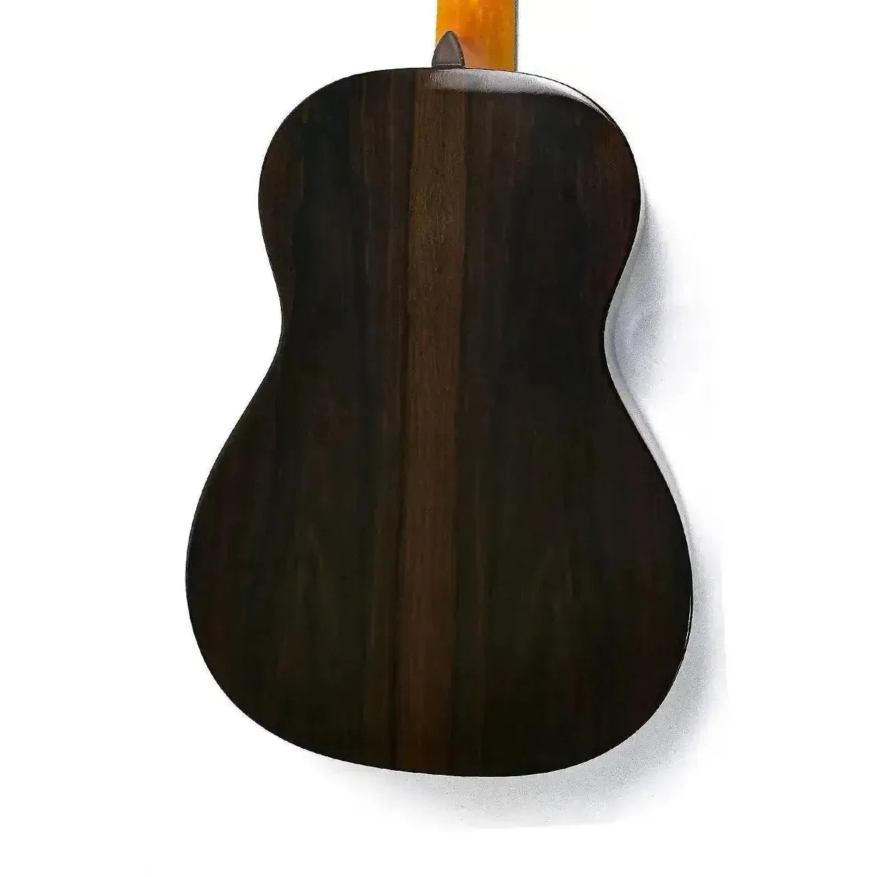 2_b6e942b6-5b72-40dd-8668-927f0e749895 | Terry Carter Music Store