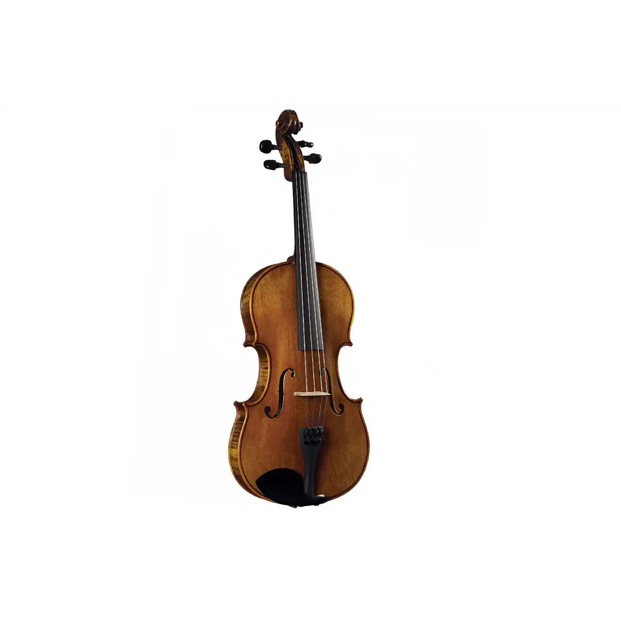 2_b70b2fb8-d8bb-4c32-a463-2df26e8c0e03 | Terry Carter Music Store