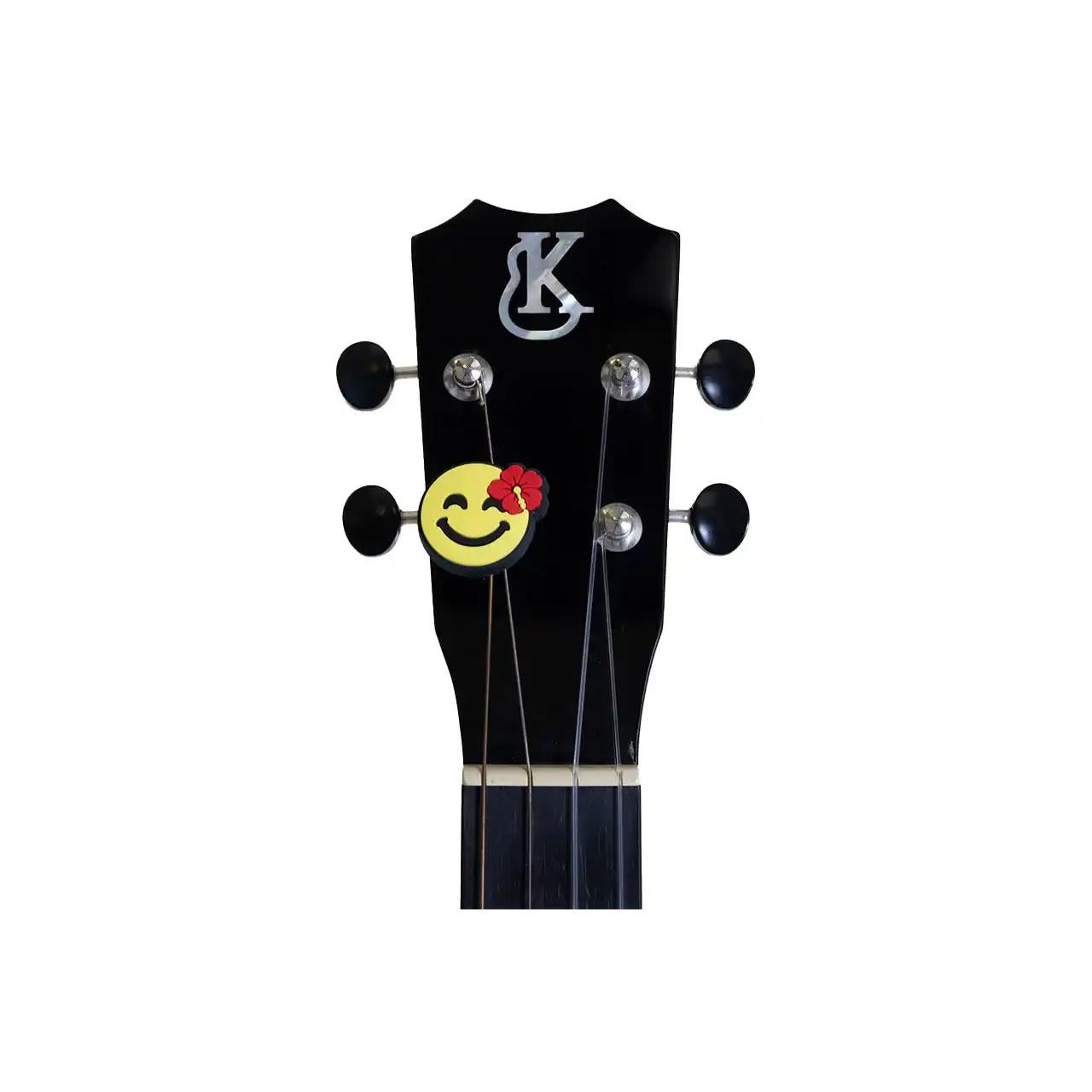 2_bbc22836-fefb-4485-8c2b-2847c9d73e43 | Terry Carter Music Store