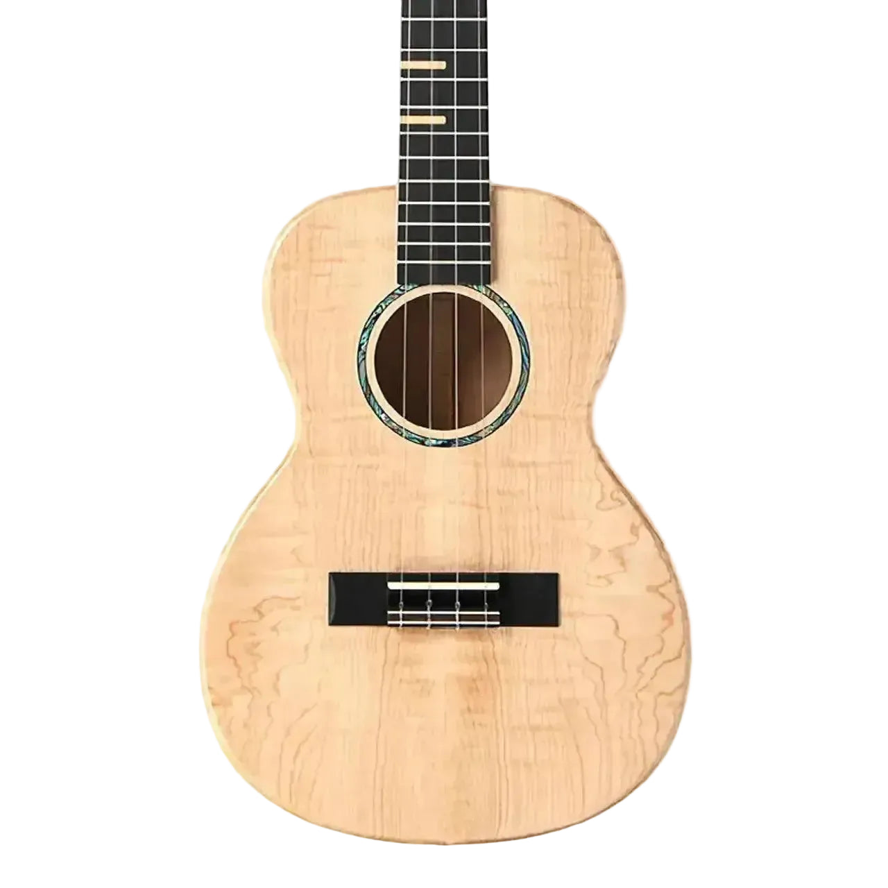 2_bd426e9f-d968-4617-a7d3-af7414581aa3 | Terry Carter Music Store