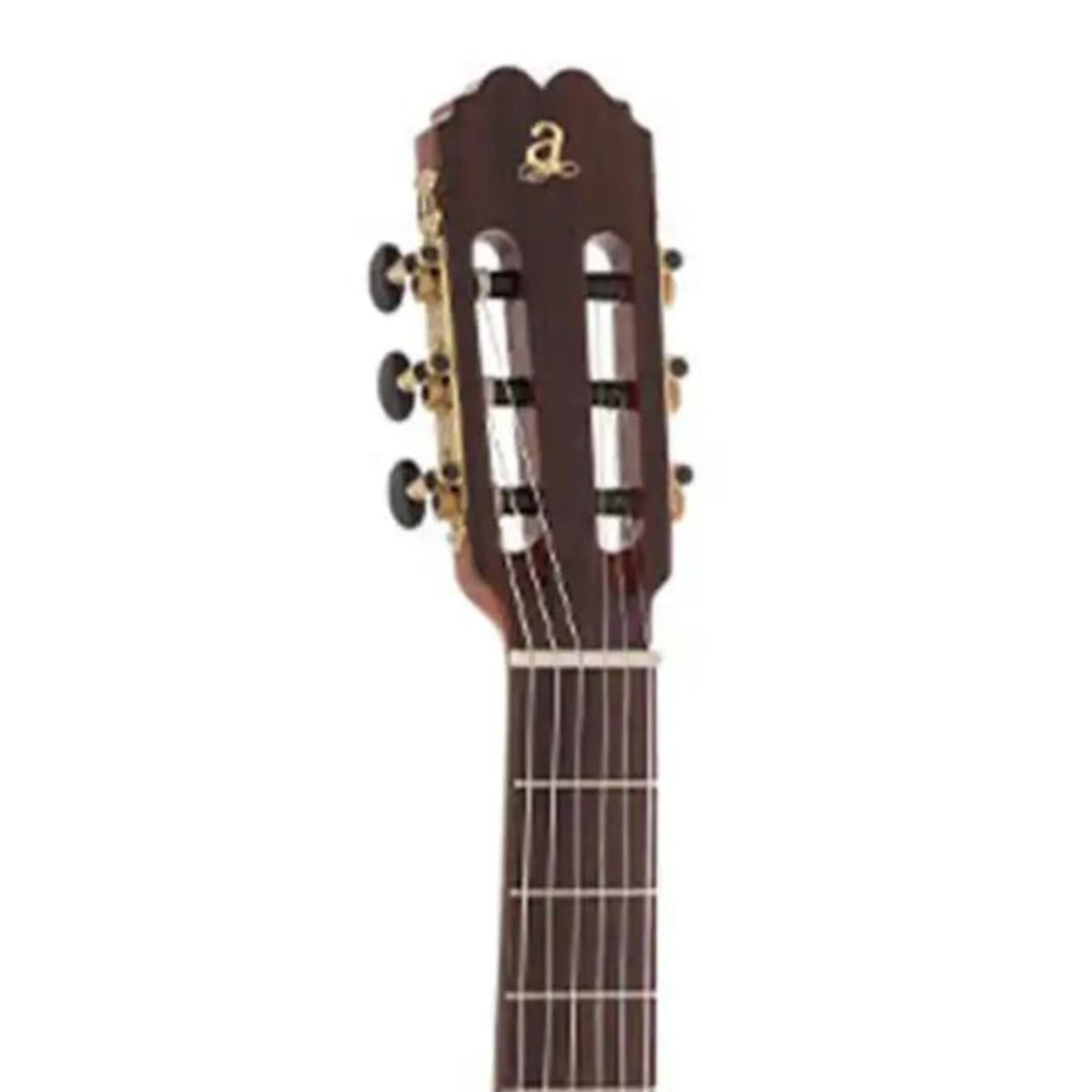 2_bec251d1-3bb7-44a2-898c-509bf695e05e | Terry Carter Music Store