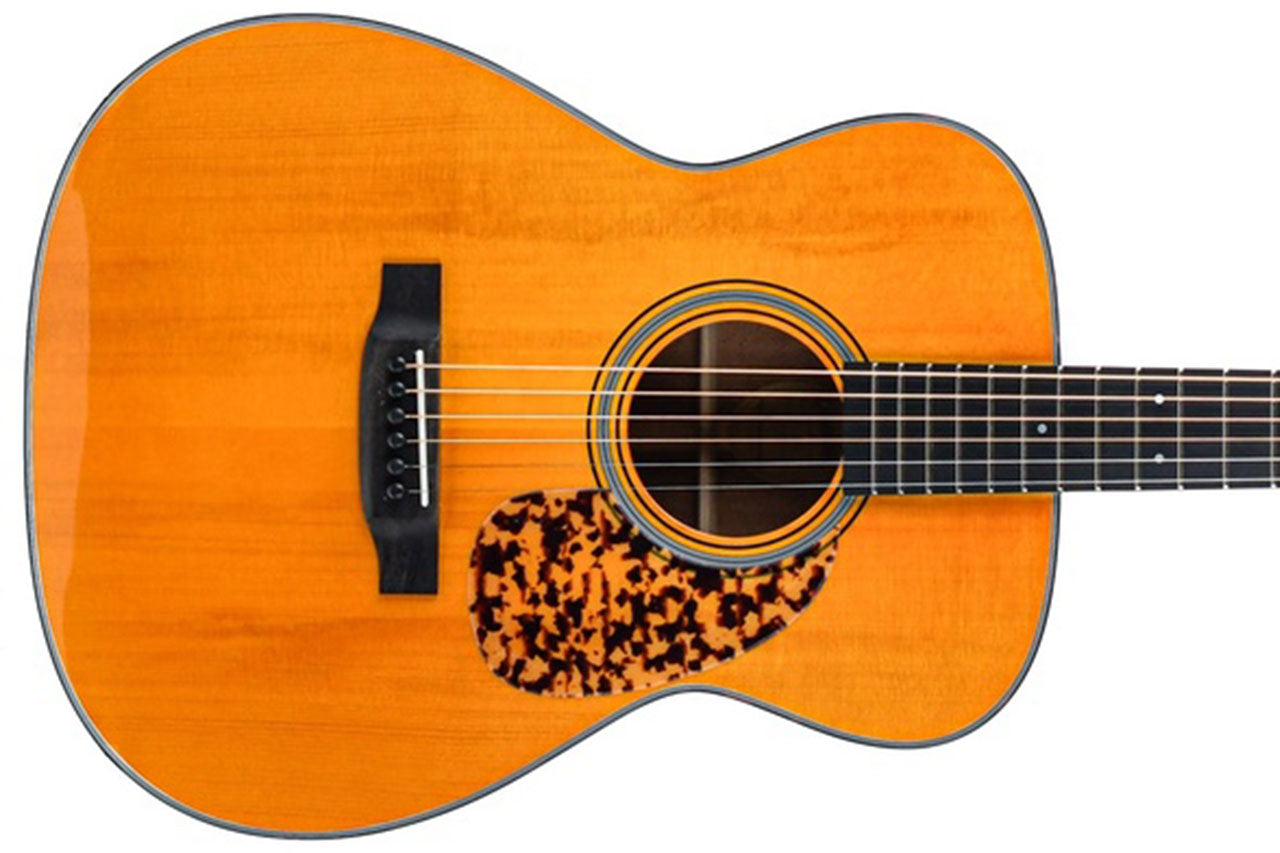 2_c1606fbc-4331-499c-a8ff-dd1c0a0f2a67 | Terry Carter Music Store