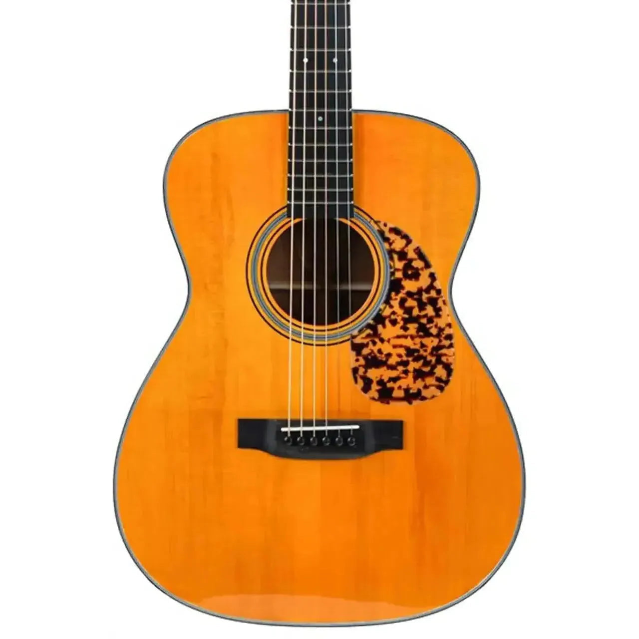 2_c1606fbc-4331-499c-a8ff-dd1c0a0f2a67 | Terry Carter Music Store