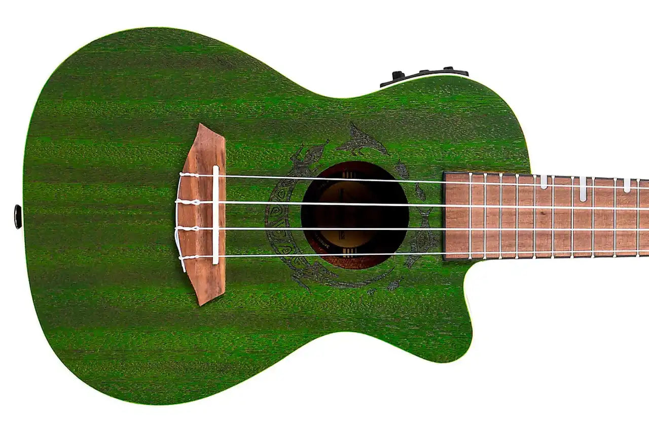 2_c8ccaadf-8cae-45d3-80e1-9502ee792469 | Terry Carter Music Store