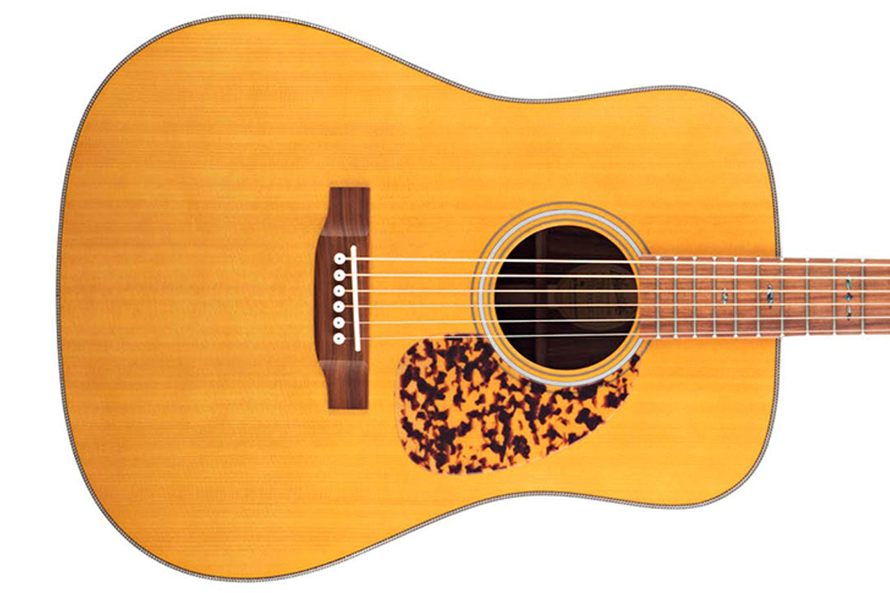 2_cb5ddd22-1b5d-4cef-8b60-6cdc998539fe | Terry Carter Music Store