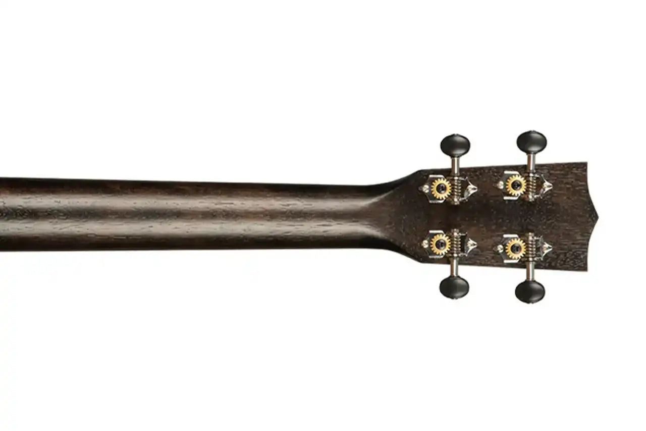 2_d08a6d74-2169-4757-8b1b-737e2bd3f91b | Terry Carter Music Store