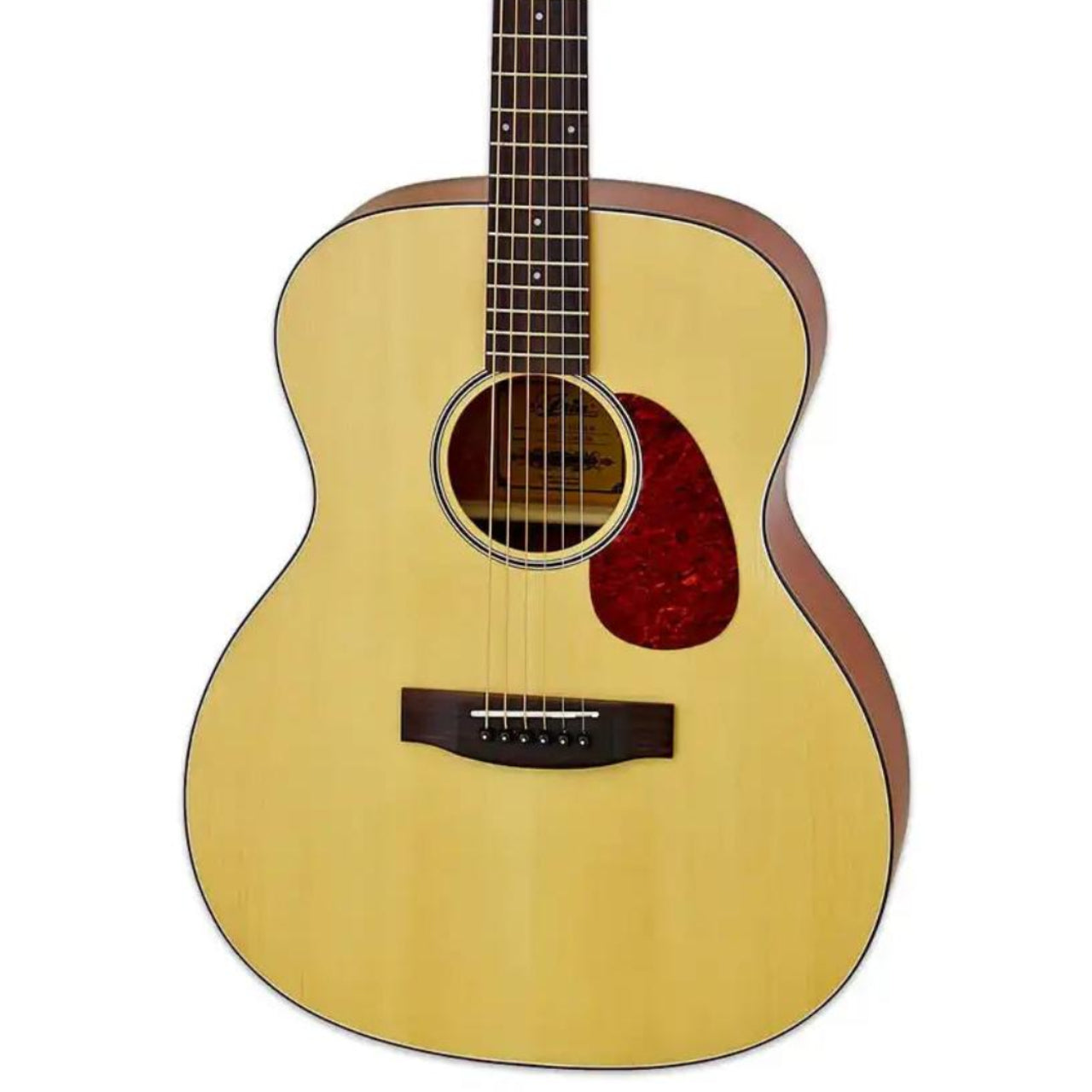 2_e4a5e7a6-dde6-4443-8ea7-dcf1bdfaeaed | Terry Carter Music Store